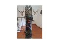 Snowboard Bindung g�nstig abzugeben - Snowboards - Bild 1
