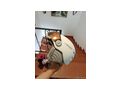 Snowboard Bindung g�nstig abzugeben - Snowboards - Bild 12
