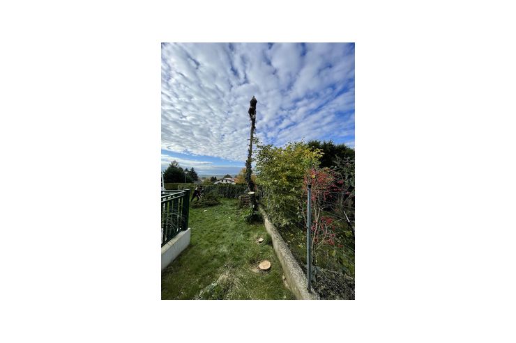 Garten Hausbetreuung - Reparaturen & Handwerker - Bild 1