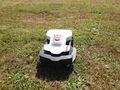Ambrogio Rasenroboter Fachh�ndler - Rasenm�her & Sensen - Bild 12