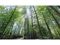 Grundst�ck Baubewilligung Aussichtslage - Grundst�ck kaufen - Bild 13