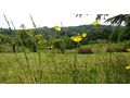 Grundst�ck Baubewilligung Aussichtslage - Grundst�ck kaufen - Bild 9