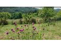 Grundst�ck Baubewilligung Aussichtslage - Grundst�ck kaufen - Bild 5