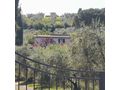 Ferienhaus Toskana Meerblick Olivenhain - Italien - Bild 2