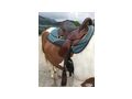 Crates Distanzsattel Wanderreitsattel - S�ttel, Unterlagen & Zubeh�r - Bild 1