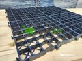 Rasengitter Paddockplatten kaufen - Einstellpl�tze - Bild 9