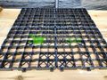 Rasengitter Paddockplatten kaufen - Einstellpl�tze - Bild 10