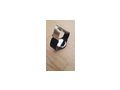 Claude Bernard Aquarider Frank Zapata model - Herren Armbanduhren - Bild 2