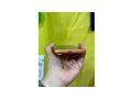 Brand iPhone 17 Pro Max 1 TB - Handys & Smartphones - Bild 7