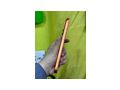 Brand iPhone 17 Pro Max 1 TB - Handys & Smartphones - Bild 8