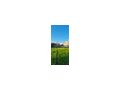 Grundst�ck verkaufen Griechenland - Grundst�ck kaufen - Bild 5