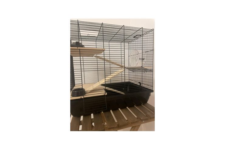 Neuer Nagerk�fig - Hamster - Bild 1