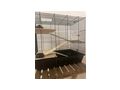 Neuer Nagerk�fig - Hamster - Bild 1