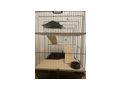 Neuer Nagerk�fig - Hamster - Bild 3