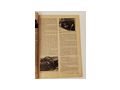 Austro Motor 12 1963 Original Automagazin - Zeitschriften & Zeitungen - Bild 10