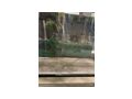 Terrarium Unterschrank - Terrarien & Becken - Bild 2
