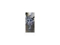 Puch Austro Daimler 1983 restauriert - Rennr�der & Triathlonr�der - Bild 12