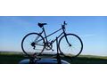 Puch Austro Daimler 1983 restauriert - Rennr�der & Triathlonr�der - Bild 1