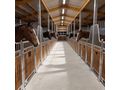 Pferdebox ideal St�lle Au�enstall - Unterst�nde & Z�une - Bild 12