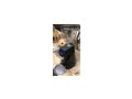 Kaffeem�hle - Gastgewerbe - Bild 2