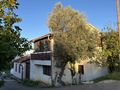 Ferienhaus Meer Kroatien Pasman zvk - Haus kaufen - Bild 1