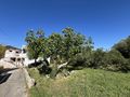 Ferienhaus Meer Kroatien Pasman zvk - Haus kaufen - Bild 12
