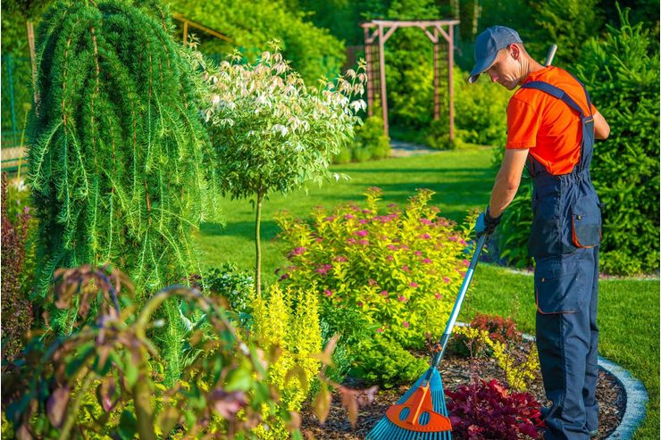 Ihr zuverl�ssiger Partner gartenpflege - Gartendekoraktion - Bild 1