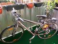 BIKEVERKAUF CITYBIKE SCOTT - Citybikes, Hollandr�der & Cruiser - Bild 4