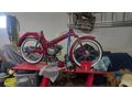 Puch MS 50L - Puch - Bild 5