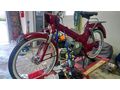 Puch MS 50L - Puch - Bild 7