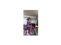 Puch MS 50L - Puch - Bild 8