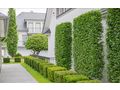 Moderne Gartengestaltung Stilvolle Konzepte - Gartendekoraktion - Bild 3