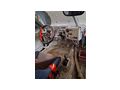 Cross Stock Car - Autos - Bild 3