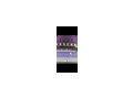 Tickets WTA Linz Viertelfinale - Sport - Bild 1