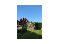 Schrebergarten Braunau Inn - Grundst�ck mieten - Bild 6