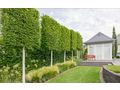 Gartenbau Landschaftsbau Wien Umgebung - Gartendekoraktion - Bild 1