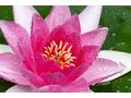 Tantra Massage - Sch�nheit & Wohlbefinden - Bild 1