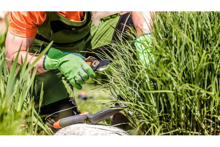 Gartenpflege Profi Wien Umgebung - Gartendekoraktion - Bild 1