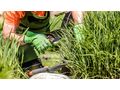 Gartenpflege Profi Wien Umgebung - Gartendekoraktion - Bild 1