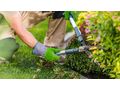 Gartenpflege Profi Wien Umgebung - Gartendekoraktion - Bild 3