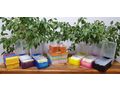 gro�es buntes Karteikarten Box Set - Schultaschen, Rucks�cke & Schulbedarf - Bild 1