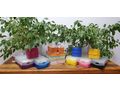 gro�es buntes Karteikarten Box Set - Schultaschen, Rucks�cke & Schulbedarf - Bild 2