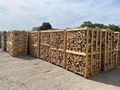 Lieferung Brennholz In gesamten Region - Pflanzen - Bild 2