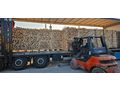 Trockenes Brennholz Qualit�t - Pflanzen - Bild 2
