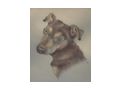 �lbilder Ausstellung Deko Verkauf - Bilder & Kunstwerke - Bild 5