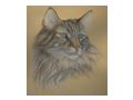 �lbilder Ausstellung Deko Verkauf - Bilder & Kunstwerke - Bild 6