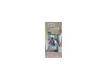 Citroen c25 - Wohnmobile & Campingbusse - Bild 14