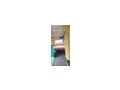 Citroen c25 - Wohnmobile & Campingbusse - Bild 4