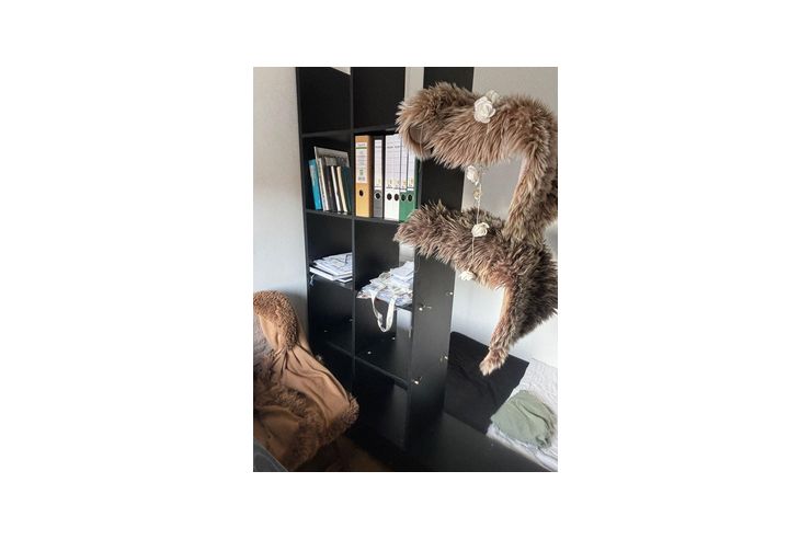 WG Zimmer nahe Altstadt - Zimmer - Bild 1