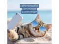 Chatter Telefonistinnen HomeOffice Remote - Jobs - Bild 1